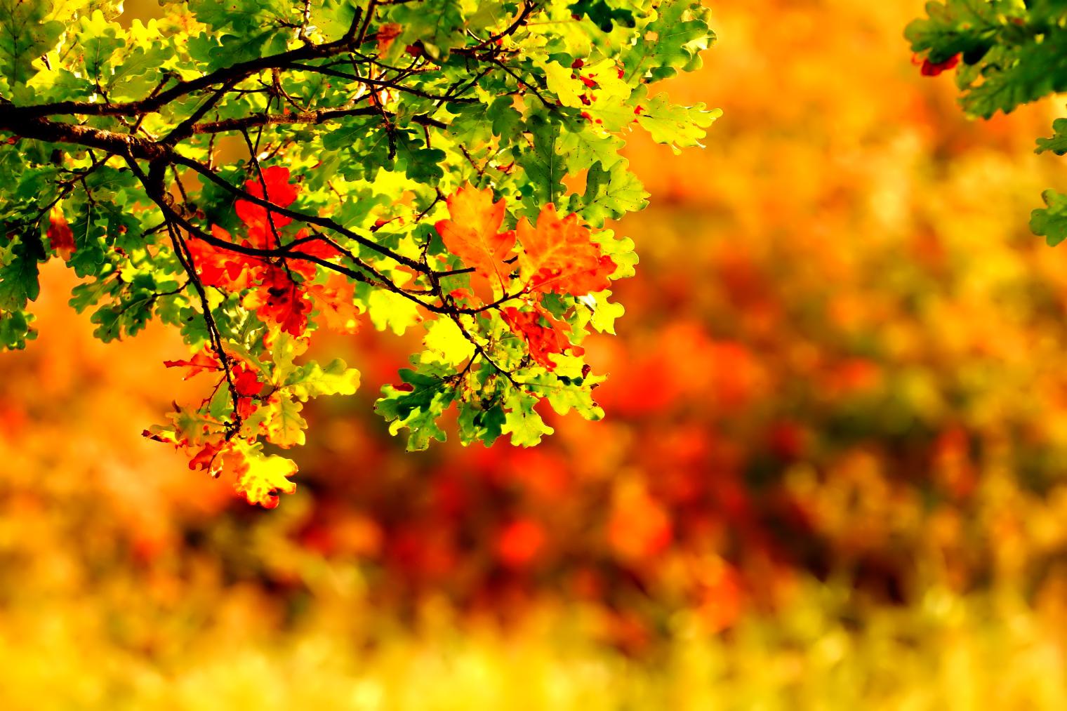 1520x1013 Best 52+ September Wallpaper on HipWallpaper | September Desktop