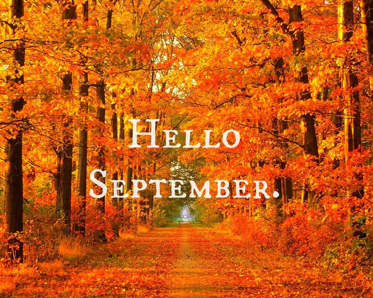 1280x1024 Hello, September! | Bugburry Pond
