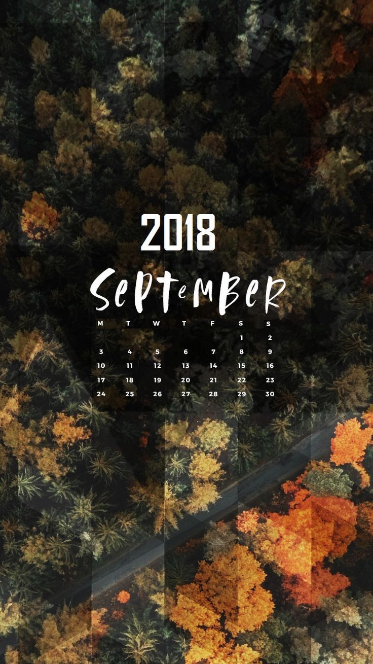 736x1309 september 2018 calendar wallpapers - Wallpaper HD Full HD 1080p 4K