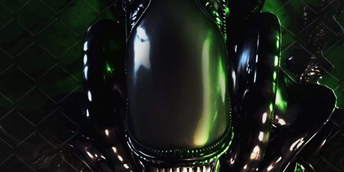 1080x1920 Alien Hd Wallpaper For Your Iphone - Alien Wallpaper Hd Phone