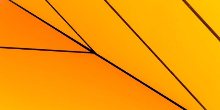 1920x1200 Windows 8.1 Wallpapers