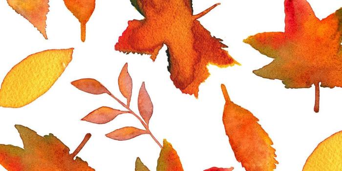 1151x2048 Fall Leaves | Phone Wallpapers | Iphone wallpaper fall, Iphone