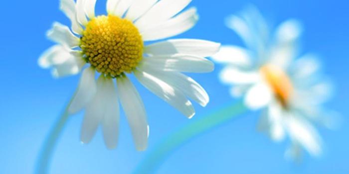 1400x1400 Windows 8 default wallpaper leaked - The Verge