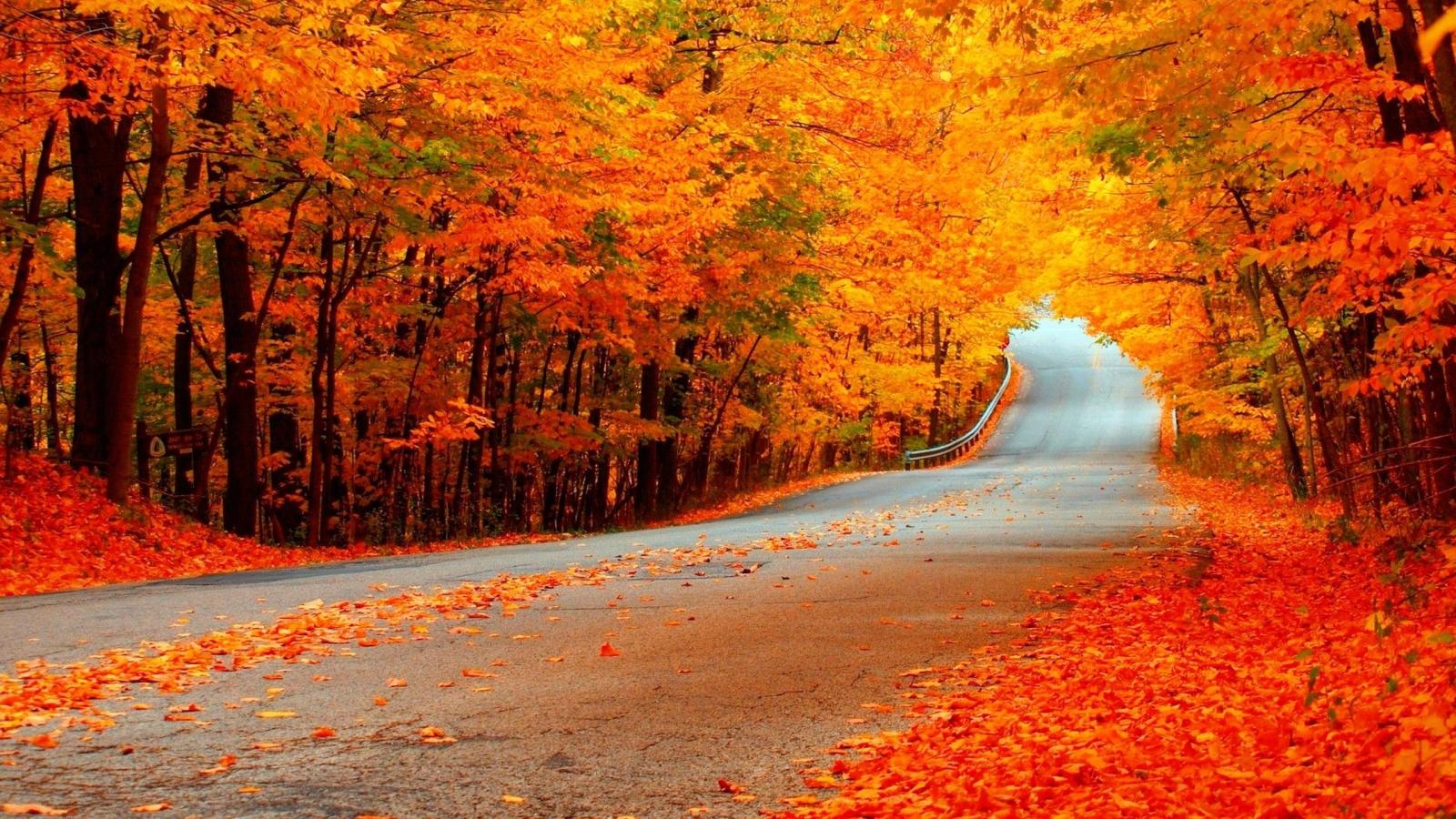 2560x1440 Fall HD Widescreen Wallpaper (58+ images)