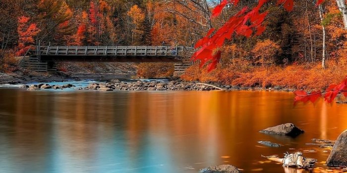 1080x1920 Fall phone wallpaper - SF Wallpaper