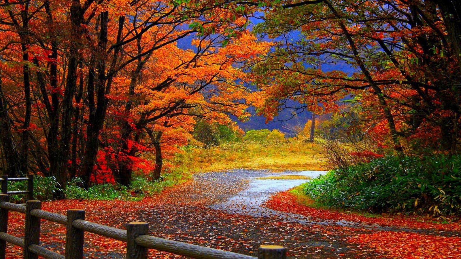 2560x1440 10 Best Autumn Scenery Wallpaper Hd FULL HD 1920×1080 For PC Desktop
