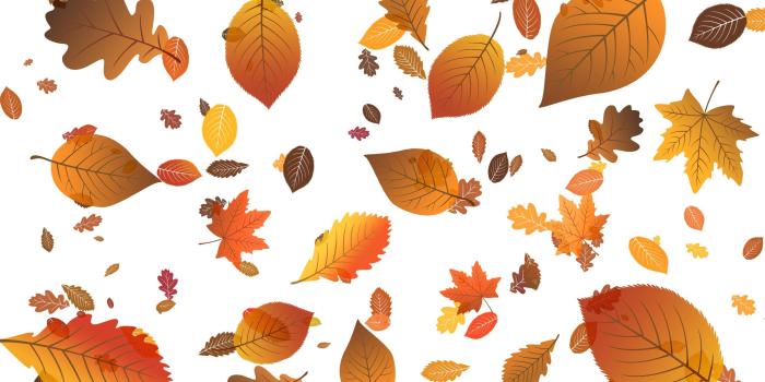 2880x1800 Falling leaves wallpaper - Vector wallpapers - #23367