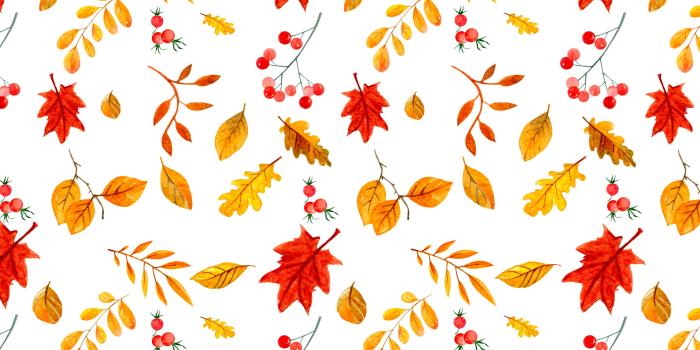 2878x1800 FREE AUTUMN LEAF WALLPAPER FOR YOUR DESKTOP OR PHONE. — Gathering Beauty