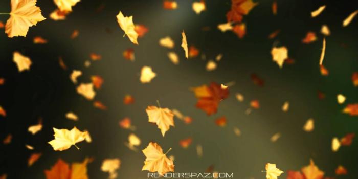 1280x720 Fall Leaves Animated Wallpaper