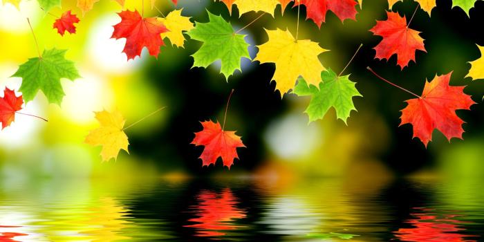 2560x1947 Wallpaper Of Fall (30+ images) on Genchi.info