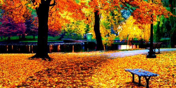 1297x714 Fall Colors Hd Wallpaper | Amazing Wallpapers