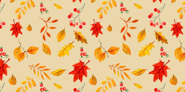 2878x1800 FREE AUTUMN LEAF WALLPAPER FOR YOUR DESKTOP OR PHONE. — Gathering Beauty