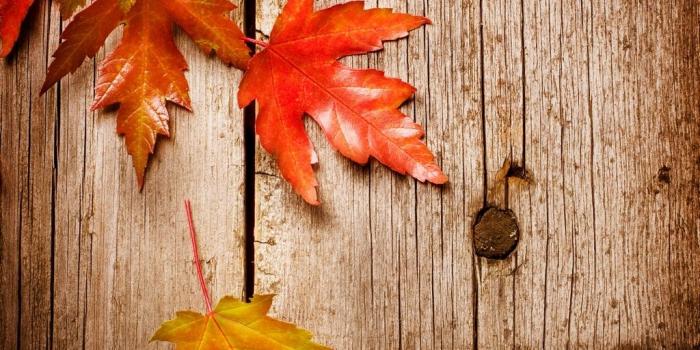 1024x939 Leaves in Autumn wallpapers Collection