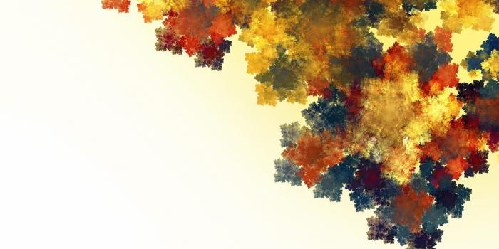 2560x1600 69+ Autumn Leaf Wallpapers on WallpaperPlay