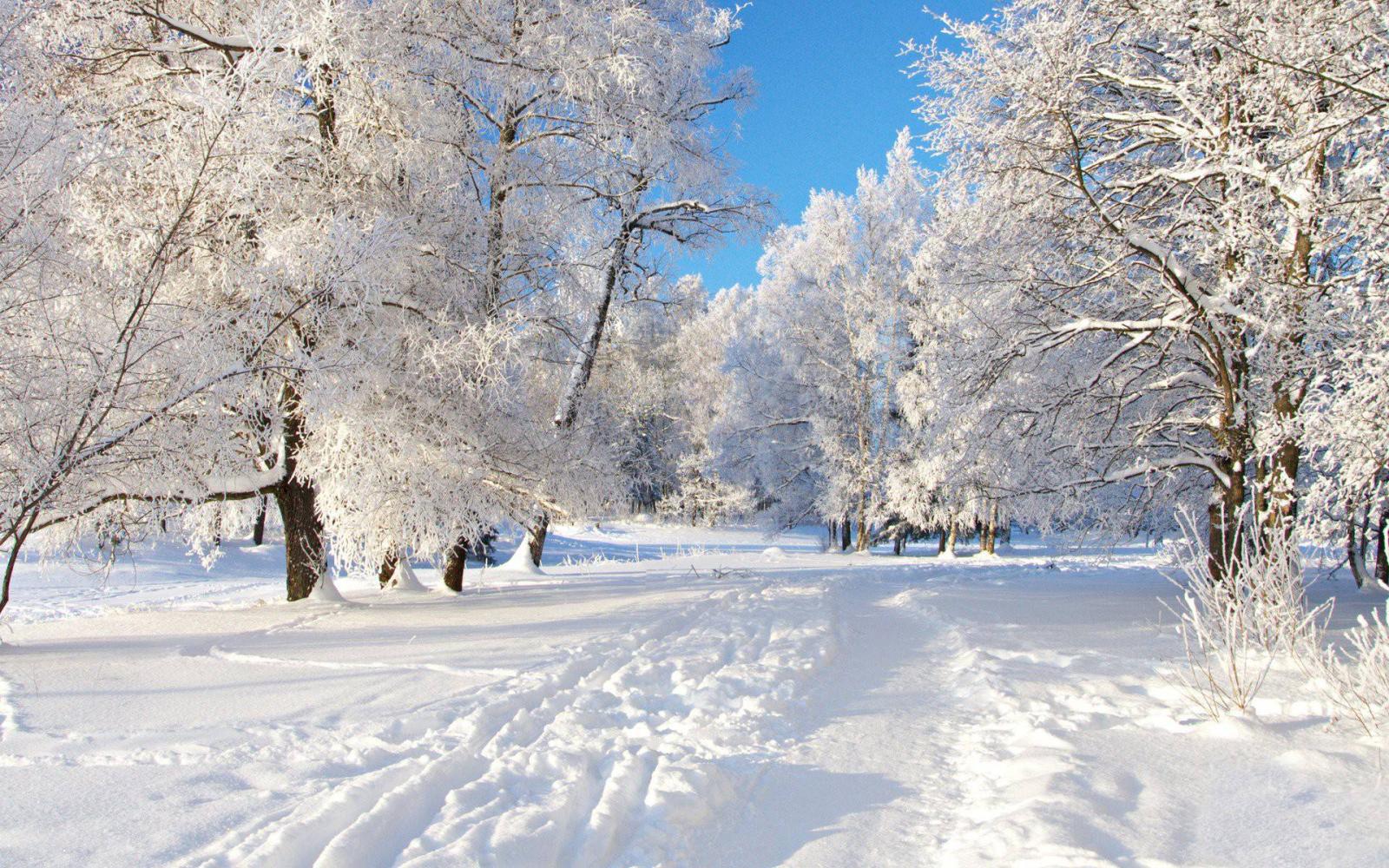 1920x1200 Winter Desktop Wallpapers - Top Free Winter Desktop Backgrounds