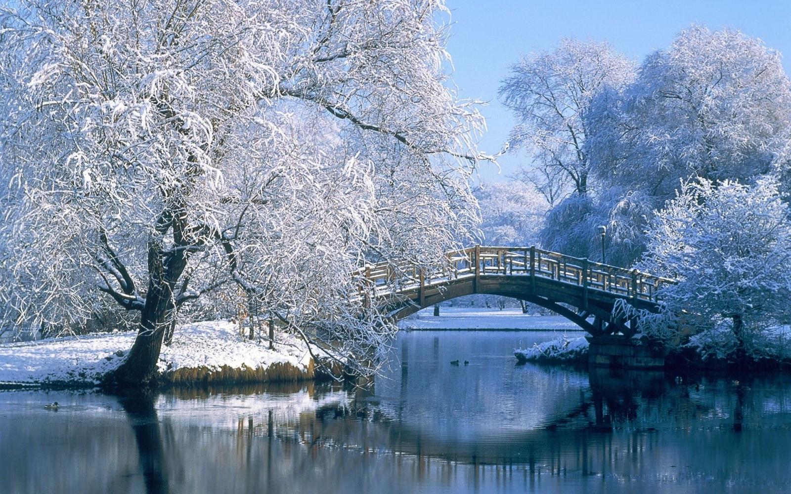 1920x1200 Winter Wallpaper PC (57+ images)