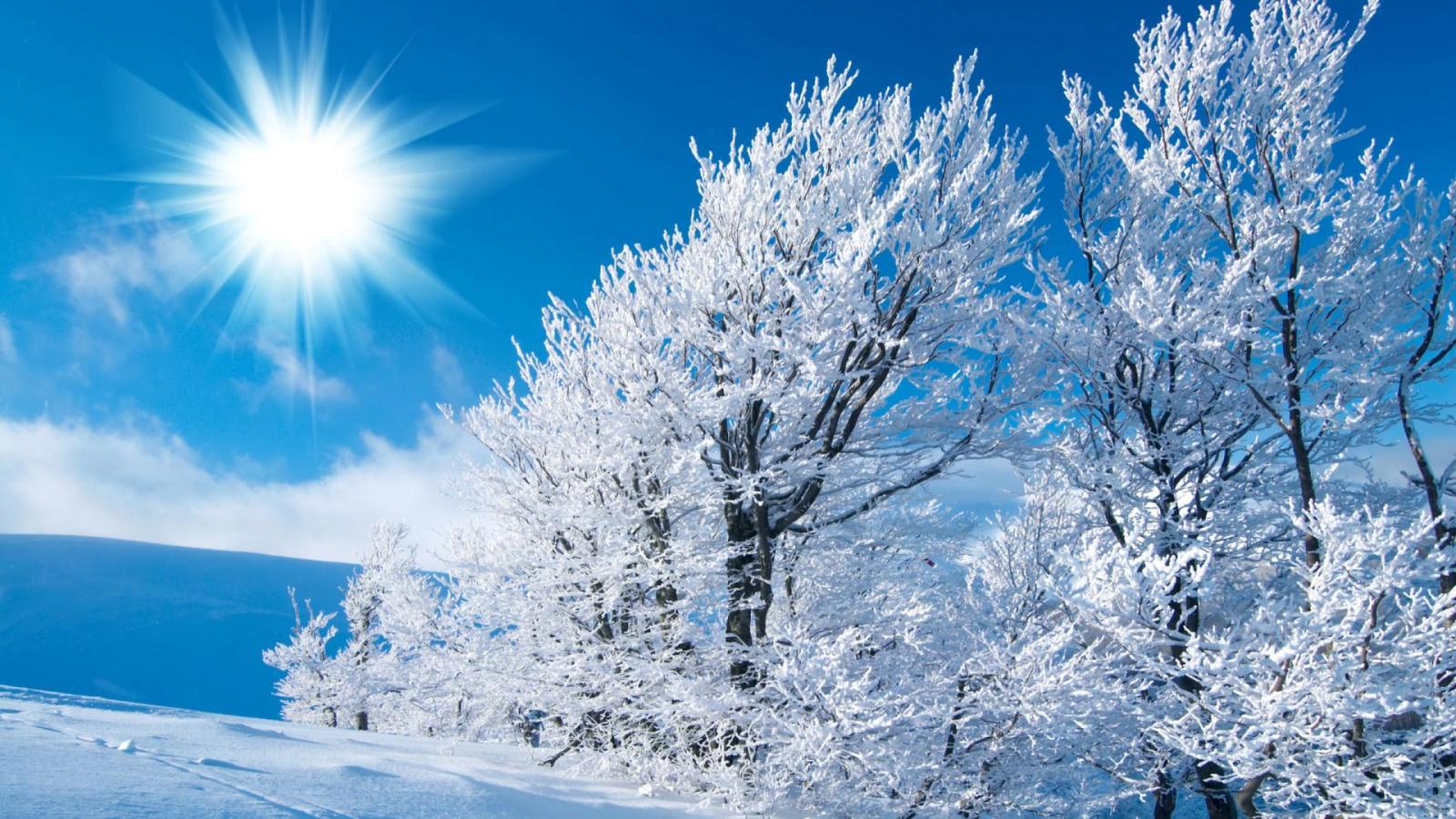 1920x1080 76+] Free Winter Background Wallpaper on WallpaperSafari