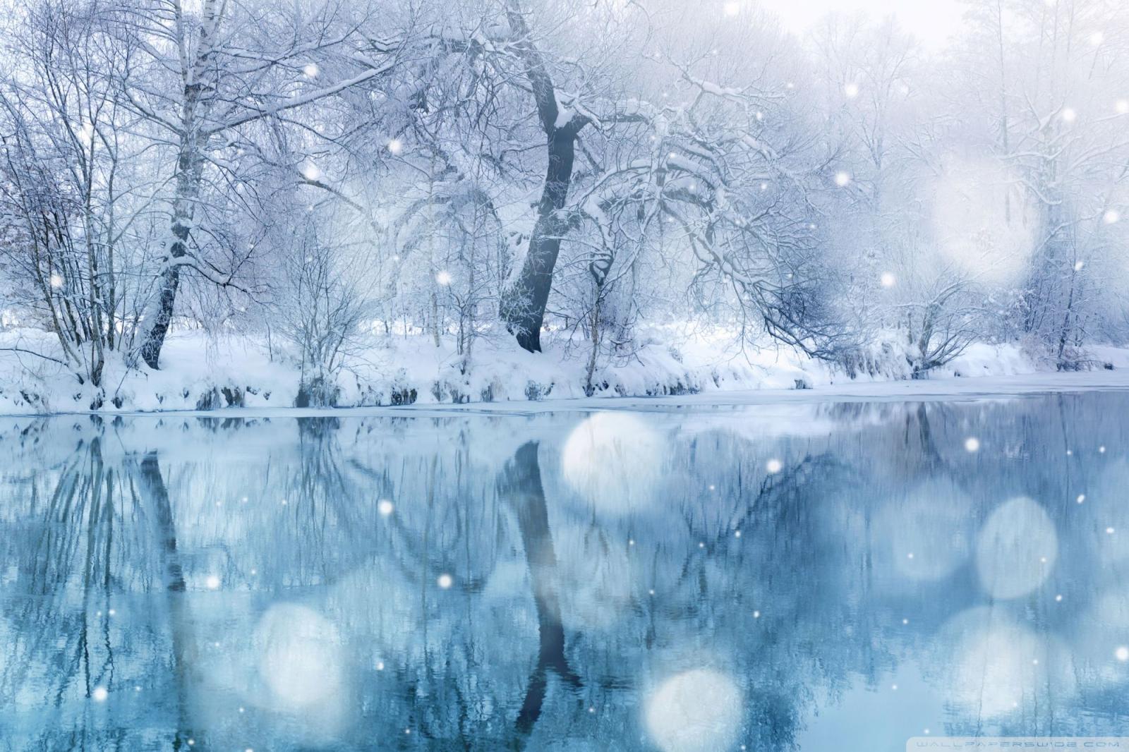 2000x1333 Winter Snowfall ❤ 4K HD Desktop Wallpaper for 4K Ultra HD TV • Dual