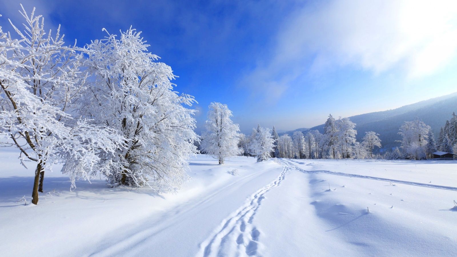 1600x900 Winter Backgrounds wallpaper | 1600x900 | #51249