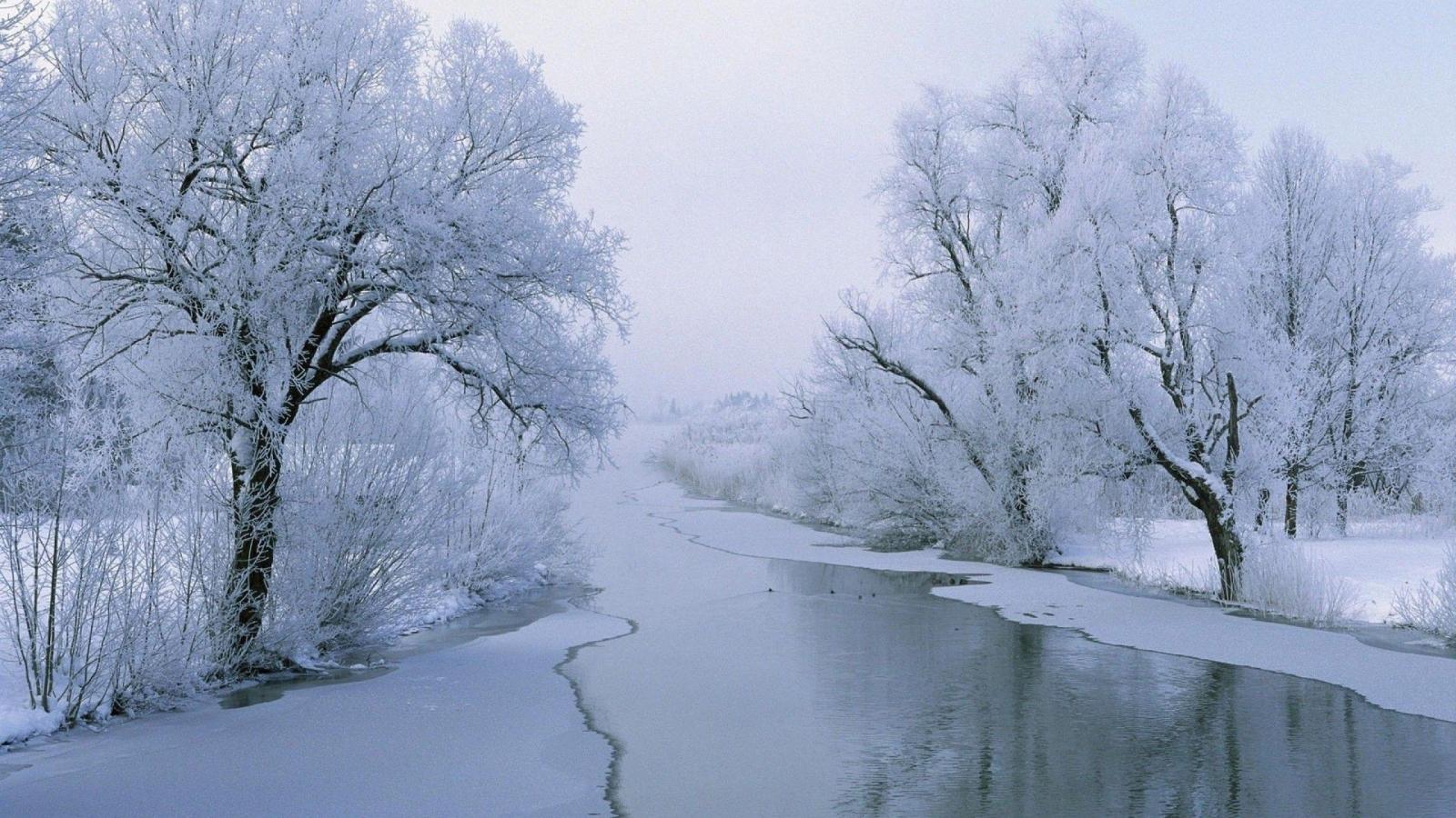 2560x1440 Winter Wallpaper for Pc ·① WallpaperTag