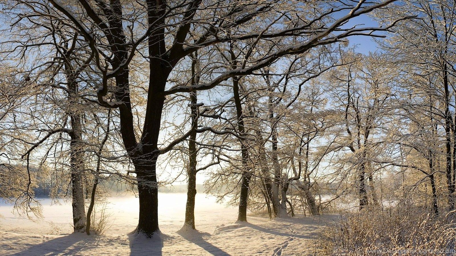 1600x900 Scenic Winter HD PC Wallpapers 5835 Amazing Wallpaperz Desktop