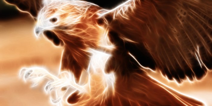 1920x1080 Eagle wallpapers 1920x1080 Full HD (1080p) desktop backgrounds