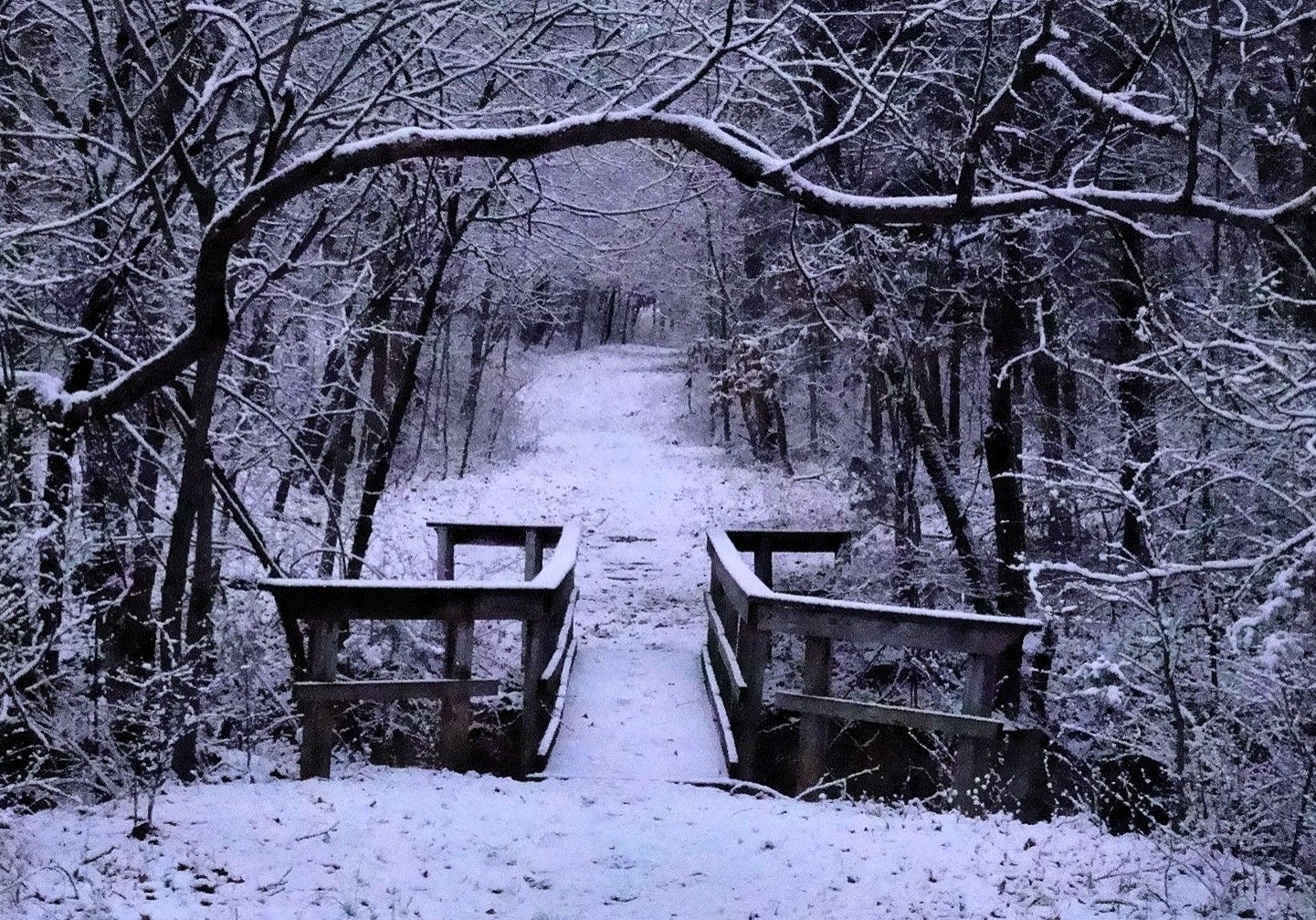 1441x1007 Live Winter PC | Resolution: 1441x1007 px