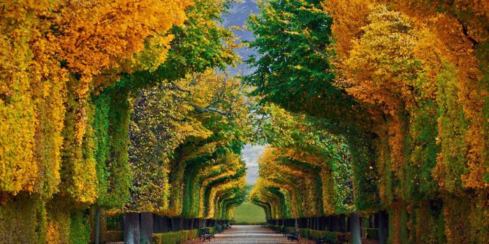 1920x1200 Schonbrunn Palace Gardens in Vienna, Austria HD Wallpaper