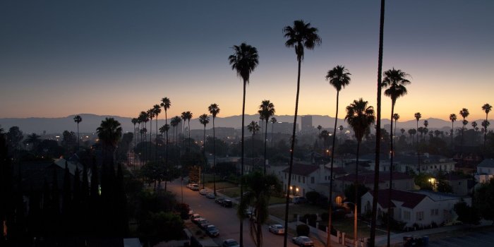 1920x1080 Palm Tree Night View California Wallpaper - Wallpaper Stream