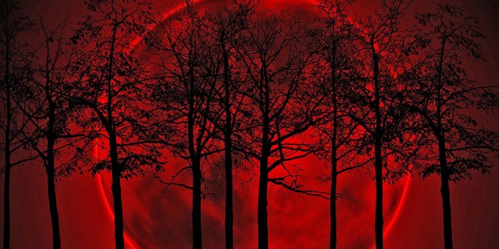 1920x1080 Free Blood, Download Free Clip Art, Free Clip Art on Clipart Library