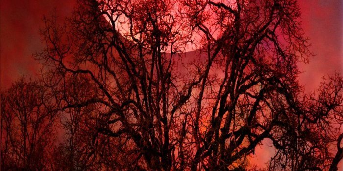 900x1165 Blood Moon Art Related Keywords & Suggestions - Blood Moon Art Long