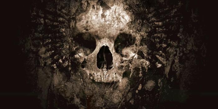 1600x1200 skull wallpaper | ~ SKULLS~ | Skull wallpaper, Skull pictures, Skull art