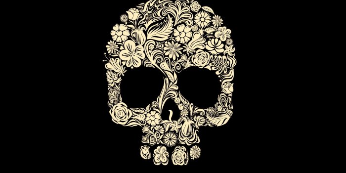 2560x1600 61+ Skull Desktop Wallpapers on WallpaperPlay