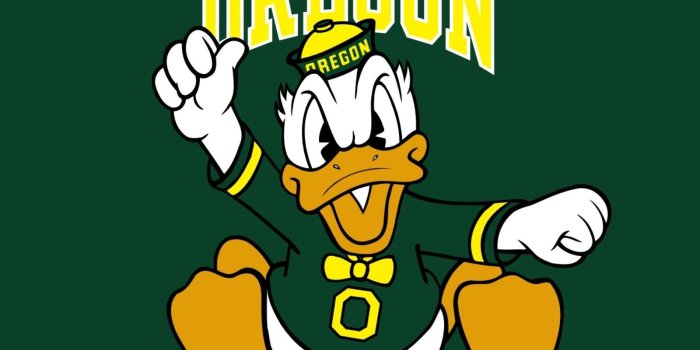 1600x1200 Oregon duck wallpapers - SF Wallpaper