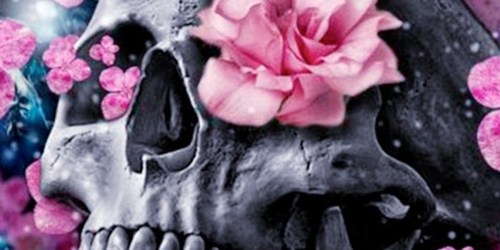 1080x2220 sugar skull wallpape wallpaper Gallery