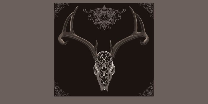 1920x1200 Animal skull decor, surreal HD wallpaper | Wallpaper Flare