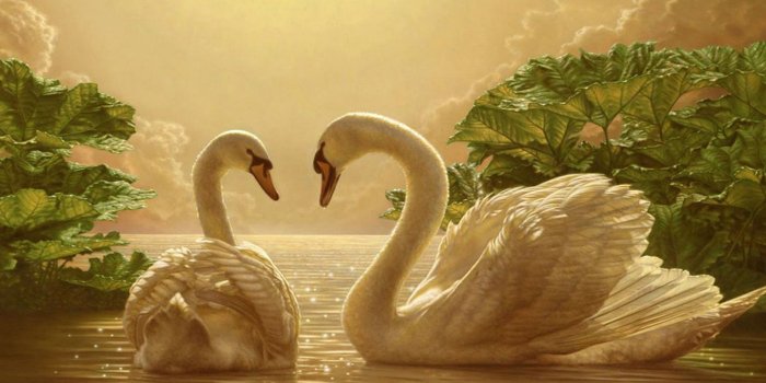 1920x1440 45+ Swan Art Wallpapers - Download at WallpaperBro