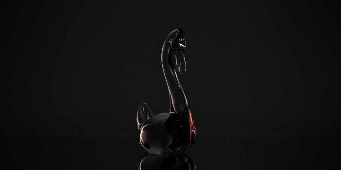 2560x1600 Swan Wallpaper (73+ images)
