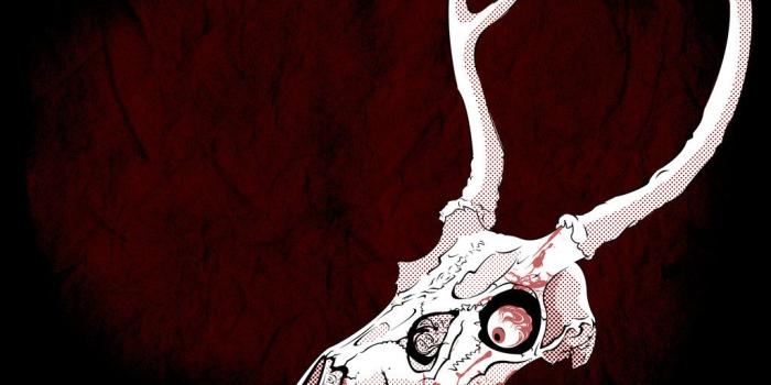 1024x768 Deer Skull Wallpaper (43+), Find HD Wallpapers For Free