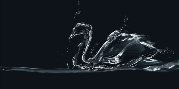 2880x1800 90 Swan HD Wallpapers | Background Images