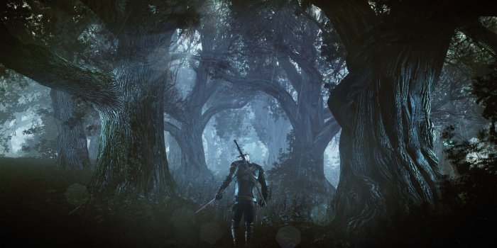 1920x1080 The Witcher Wallpapers (78+ background pictures)