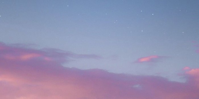 800x1422 Purple between blue wallpaper | Wallpaper in 2019 | Pink wallpaper