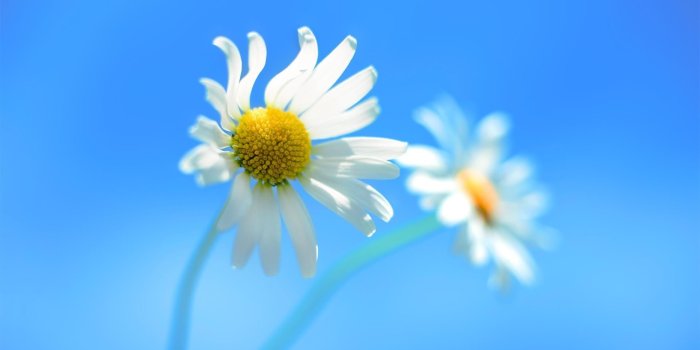 1920x1080 Cute Blue Background 15249 #6964650