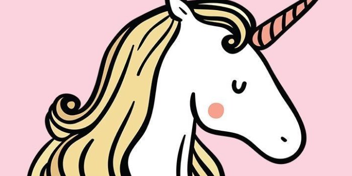 720x1308 Cartoon Unicorns Wallpapers