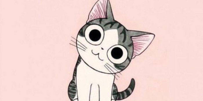 1080x1920 Cartoon Cat Wallpaper ·① WallpaperTag