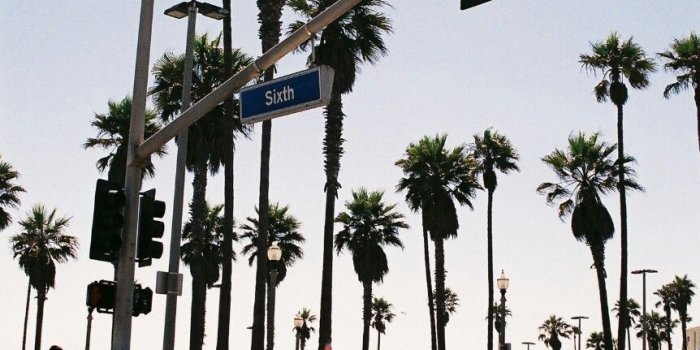 862x1280 california venice | Tumblr | Travel the world. | Palm tree iphone