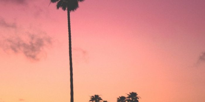 736x1389 Free California Tumblr Wallpapers Hd Resolution at Misc » Monodomo