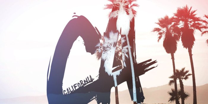 1280x853 California Palm Trees Pictures, Photos, and Images for Facebook