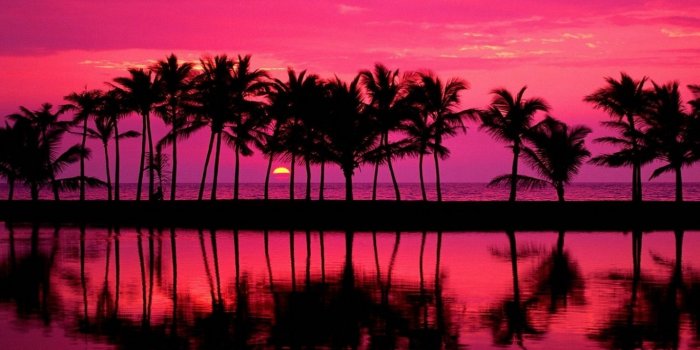 1366x768 Free download California Palm Trees Tumblr Background wallpaper