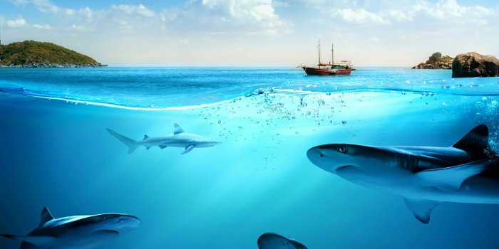 2560x2560 california beaches tumblr iphone wallpaper Inspirational Ocean